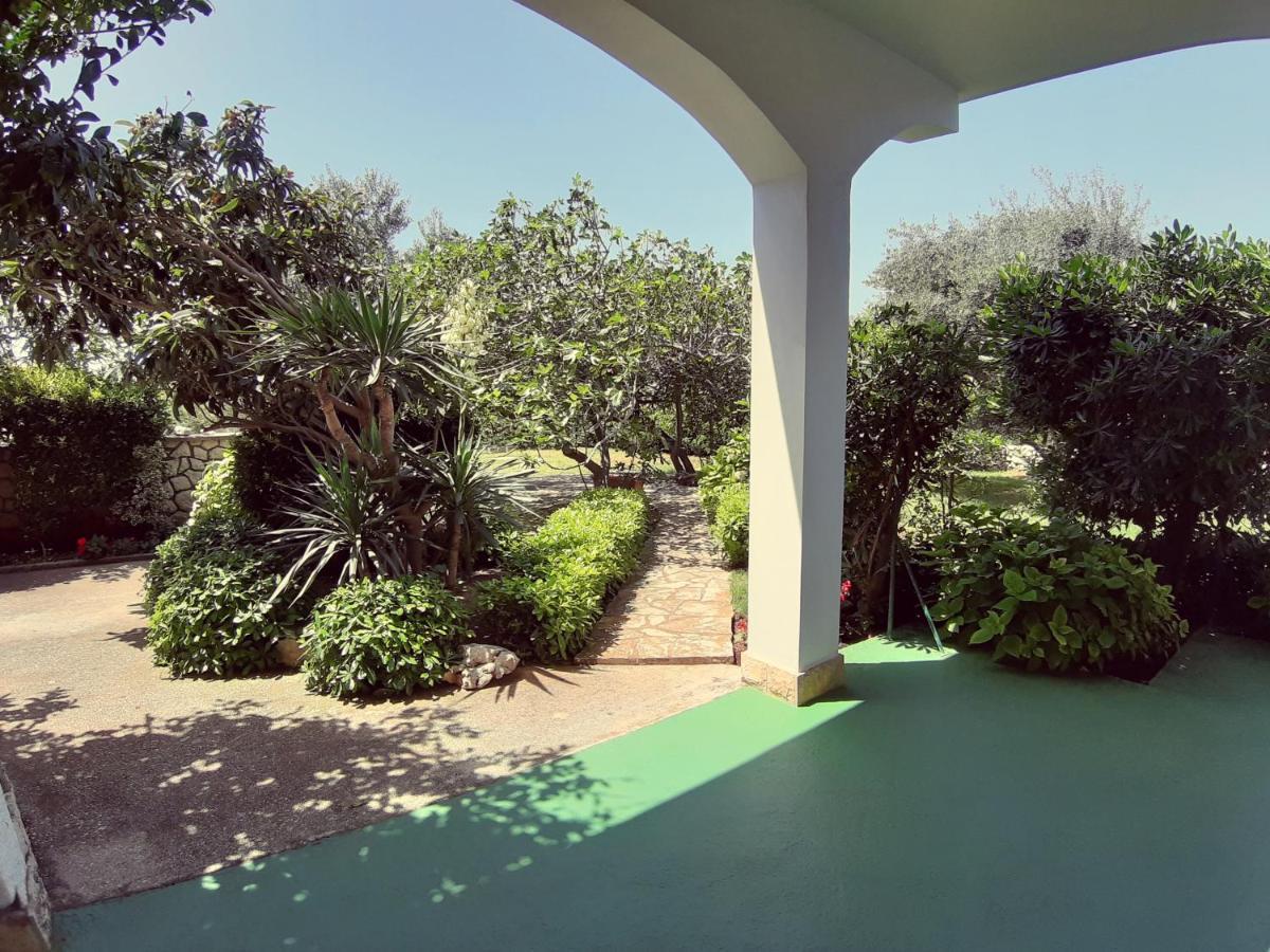F• R• I• E• N• D• S• Bed & Breakfast Novalja Luaran gambar